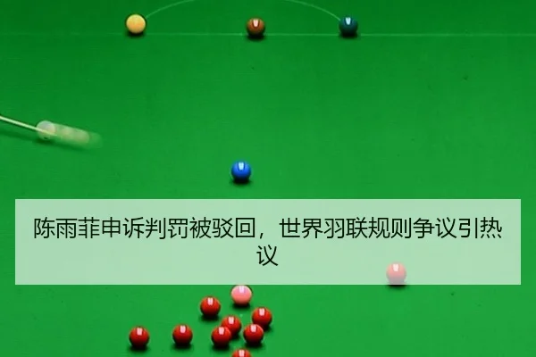 陈雨菲申诉判罚被驳回，世界羽联规则争议引热议